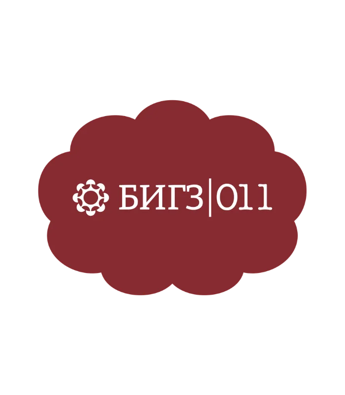 Brendirani automiris za BIGZ|011
